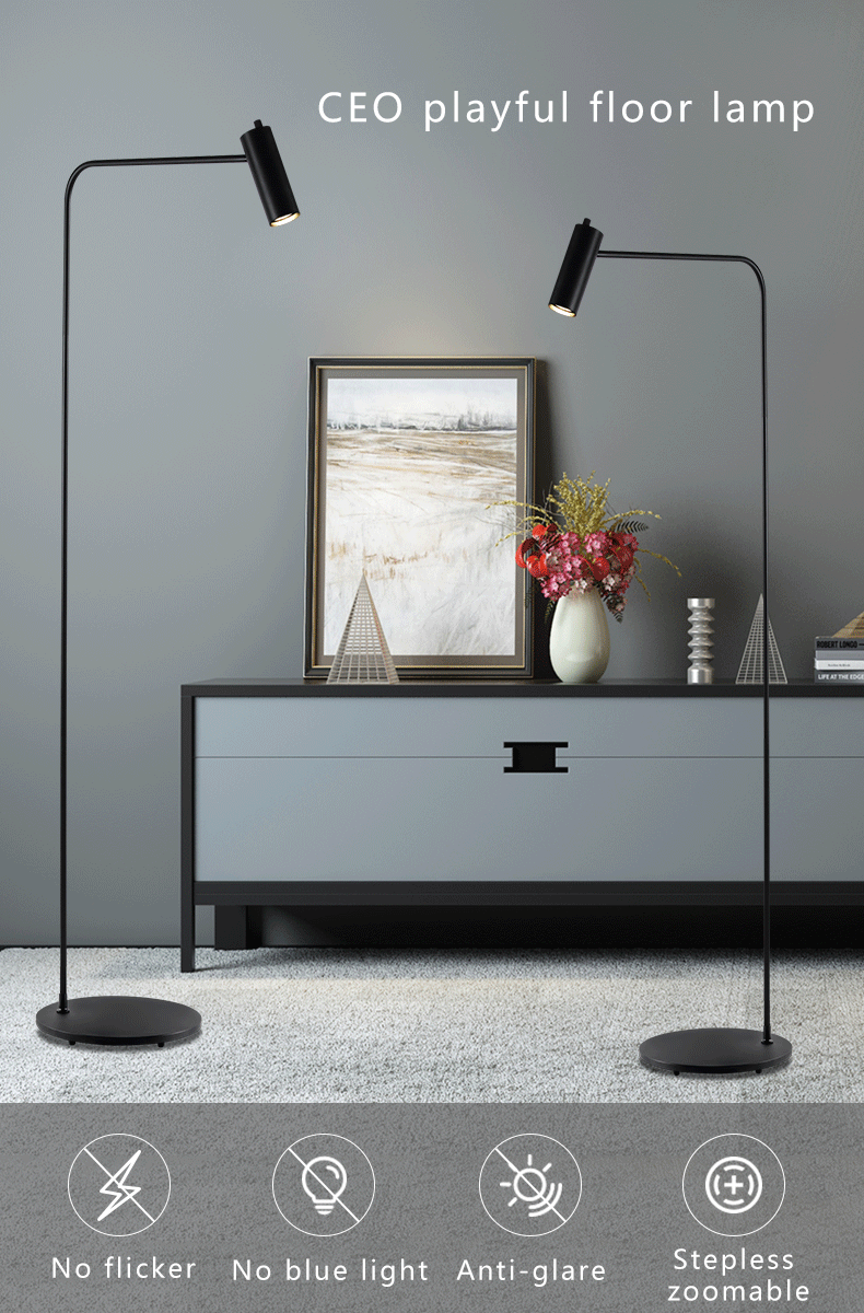 Portable floor lamp zoomable